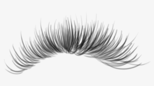#eyelashes #freetoedit - Eyelash Extensions, HD Png Download, Transparent PNG