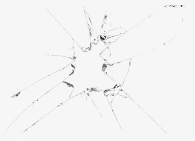 Broken Glass Clipart - Insect, HD Png Download, Transparent PNG
