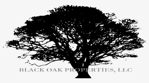 Giant Tree Silhouette, HD Png Download, Transparent PNG