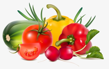 Fresh Vegetables Illustration Png, Transparent Png, Transparent PNG