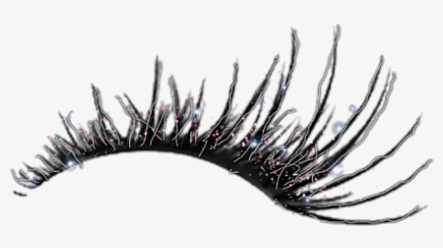 #lashes #eyelashes #eye #eyes #lash #freetoedit - Cartoon Eyelashes Drawing, HD Png Download, Transparent PNG