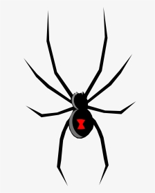 Spade Drawing Spider Web And Open - Black Widow Spider Cartoon, HD Png Download, Transparent PNG