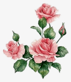 Flower Png, Transparent Png, Transparent PNG