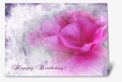 Pink Rose Texture For Birthday Greeting Card - Hybrid Tea Rose, HD Png Download, Transparent PNG