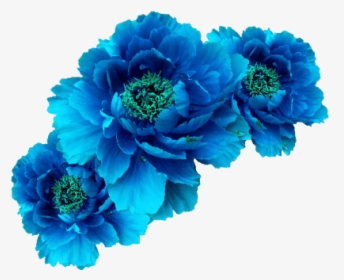 #ftestickers #flowers #flowercrown #blue - Blue Flower Crown Png, Transparent Png, Transparent PNG