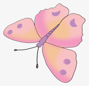 Butterfly Drawing Pink, HD Png Download, Transparent PNG