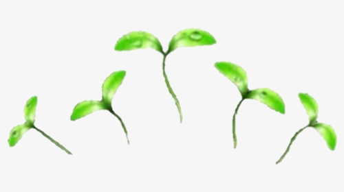 Edit, Overlay, And Png Image - Green Plant Tumblr Png, Transparent Png, Transparent PNG