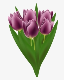 Tulips Bouquet Transparent Png Clip Art Image - Tulip, Png Download, Transparent PNG