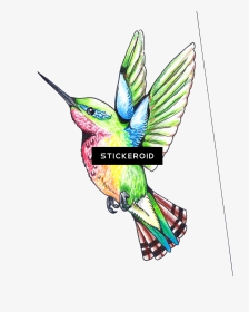 Hummingbird Clipart , Png Download - Humming Bird Clip Art, Transparent Png, Transparent PNG