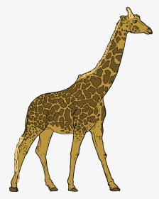 Animals, Outline, Drawing, Cartoon, Giraffe, Mammal - Walking Giraffe Clipart, HD Png Download, Transparent PNG