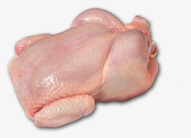 Fresh Whole Chicken Png, Transparent Png, Transparent PNG