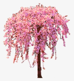 #art #tree #flowers #bloomingtree #stickers - Transparent Background Cherry Blossom Tree Png, Png Download, Transparent PNG