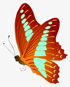 Butterfly Vector Free, HD Png Download, Transparent PNG