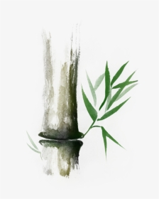 Bamboo Stalk Sumi-e Oriental Zen Painting Illustration, HD Png Download, Transparent PNG