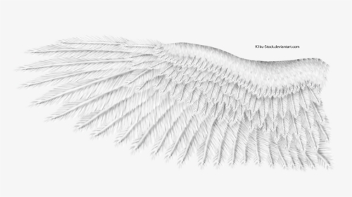 White Wings Png Download Image - White Eagle Wings Png, Transparent Png, Transparent PNG