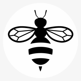 Botanica - Honey Bee Icon Png, Transparent Png, Transparent PNG