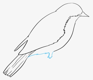 How To Draw Eastern Bluebird - Drawings Of A Bluebird, HD Png Download, Transparent PNG