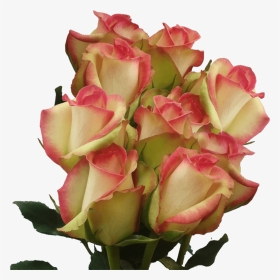 Red And White Long Stem Roses Multicolored Roses For - Garden Roses, HD Png Download, Transparent PNG
