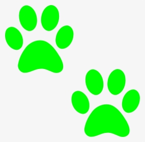Green Paw Prints - Green Cat Paw Print, HD Png Download, Transparent PNG