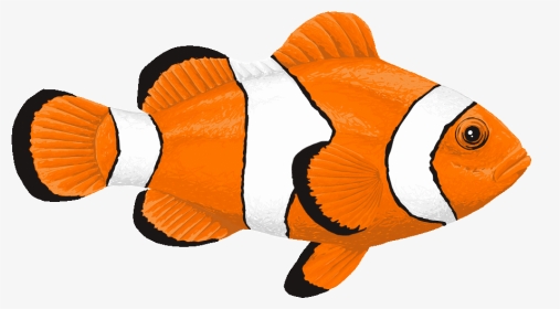 Animated Fish Gif Transparent, HD Png Download, Transparent PNG