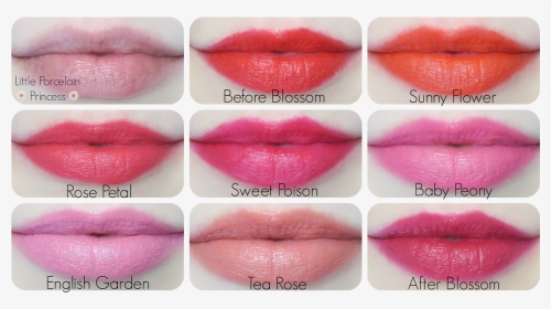 Etude House Rosy Tint Lips Rose Petal, HD Png Download, Transparent PNG