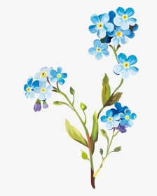 Flower Drawing Clip Art, HD Png Download, Transparent PNG