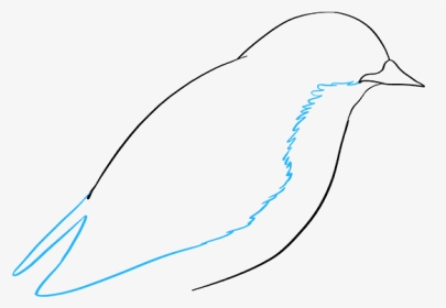 How To Draw Eastern Bluebird - Sketch, HD Png Download, Transparent PNG