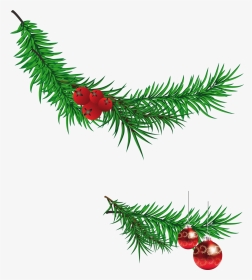 Christmas Tree Branch Clipart, HD Png Download, Transparent PNG