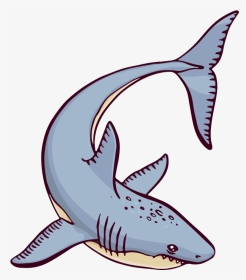 #shark #ocean #sea #cartoon - Great White Shark, HD Png Download, Transparent PNG