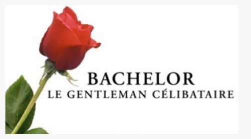 Bachelor Le Gentleman, HD Png Download, Transparent PNG