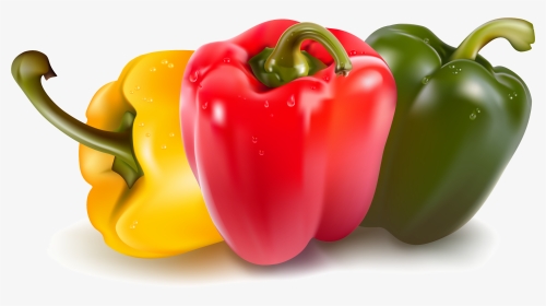 Vegetables Vector Free, HD Png Download, Transparent PNG