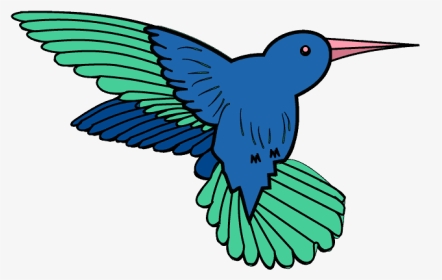 How To Draw Hummingbird - Hummingbird Drawing With Color, HD Png Download, Transparent PNG