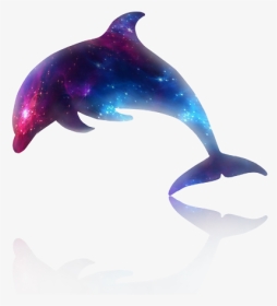 Dolphin Png Galaxy, Transparent Png, Transparent PNG