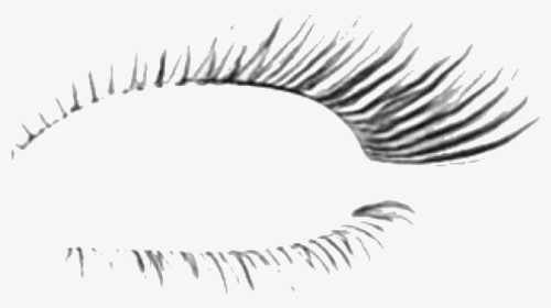 #eyelash #eye #beauty #makeup #eyes #eyemakeup #eyelashextension - Eye Shadow, HD Png Download, Transparent PNG