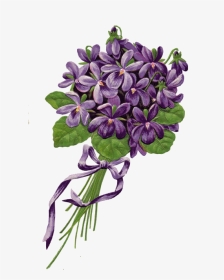Violettes De Toulouse Fleurs, HD Png Download, Transparent PNG