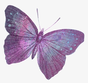 Holly Blue, HD Png Download, Transparent PNG