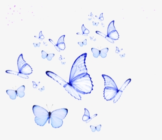 blue #butterfly #soft #cute #aesthetic #goth #kawaii - Android Live Butterfly  Wallpaper 3d, HD Png Download , Transparent Png Image - PNGitem