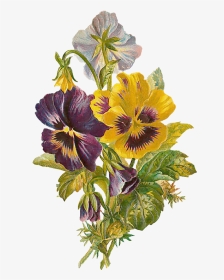 Victorian Flowers, HD Png Download, Transparent PNG