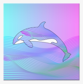 Azulejo O R C A De Mat Cvlcntna - Common Bottlenose Dolphin, HD Png Download, Transparent PNG
