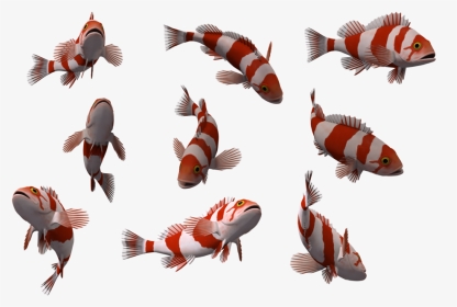 Fish Free Png Image - Transparent Background Fishes Png, Png Download, Transparent PNG