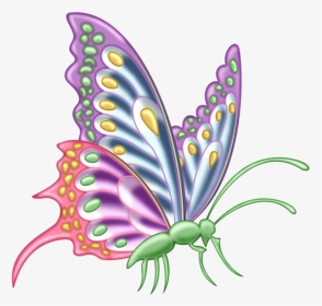 Butterfly Designs For Assignment, HD Png Download, Transparent PNG