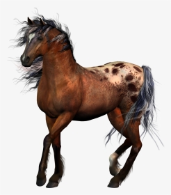 Horse Tack Equestrian Western Riding - Horse Riders No Background, HD Png Download, Transparent PNG