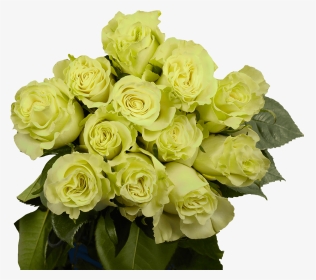 Dozen Green Roses Cheap Fresh Flowers - Floribunda, HD Png Download, Transparent PNG