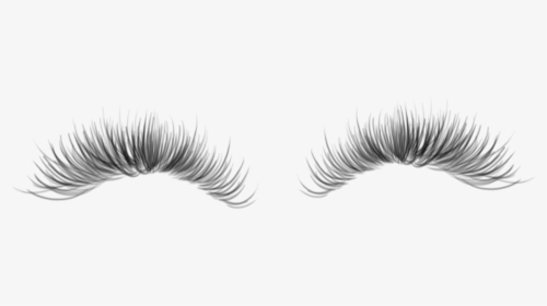 #eyelashes #eyelash #black #makeup #vkimjdv #freetoedit - Eyelash Extensions, HD Png Download, Transparent PNG