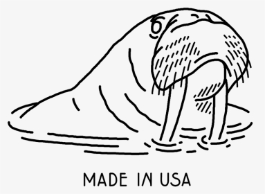 Walrus Drawing Transparent And Http - Sketch, HD Png Download, Transparent PNG