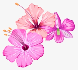 Small Flower Design Png, Transparent Png, Transparent PNG