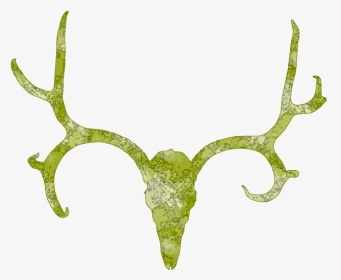 Deer Skull Antler Clipart Free Clip Art Images - Antler, HD Png Download, Transparent PNG