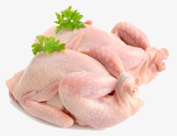 Chicken - Fresh Quail Png, Transparent Png, Transparent PNG
