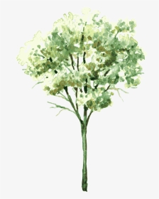 Banner Transparent Watercolor Painting Tree Trees - Watercolor Of Bushes, HD Png Download, Transparent PNG