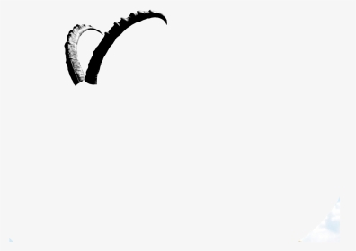 Horns Black And White Pic Edit, HD Png Download, Transparent PNG